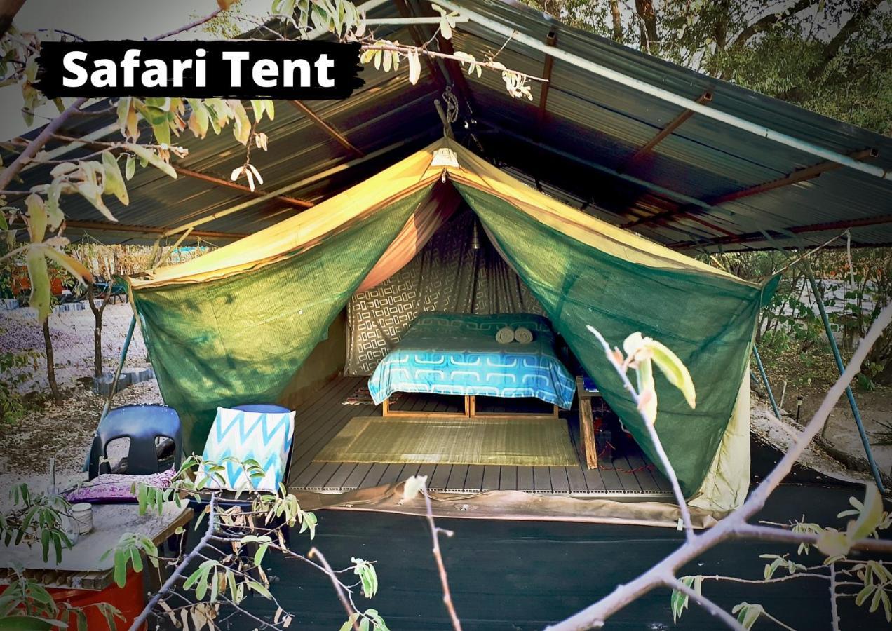 Eselbe Camp Backpackers Hostel Nata Bagian luar foto